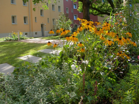 Pflanzenimpression im Wohnhof, Bild: Heike Roos